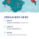 큰시장마니커 이미지