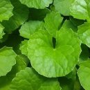 초계농장 이미지