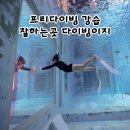 3M카케어 고창점 | 시흥 파라다이브 프리다이빙 강습 다이빙이지 레벨1 후기