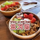 요거영 이미지