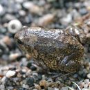 파주착한펜션 이미지