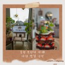 볼커피 | 춘천 브런치 카페｜사진 맛집 인정, 버터볼 커피 데이트 후기