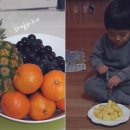 빈스하우스 이미지