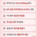 다홍 | CLA다이어트✨ GRN 다홍이 팻버닝 ptp 후기