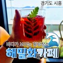 [공지] 바다가 훤히 보이는 오션뷰 카페, 해밀화 내돈내산 후기