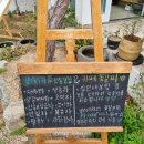 김해 일상, 내돈내산: 구산동 야외 카페 [꽃갈피]+김해 감성 식당[모도리 식당]
