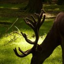 오체한의원 이미지