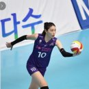 데일리앤스파 이미지