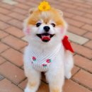 눈치