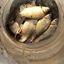 행복 낚시터 이미지