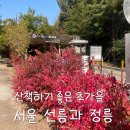 (주)코리아세븐강남선릉점 | [서울] 화창한 가을 산책하기 좋은 선릉과 정릉