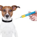 고등동물병원 이미지