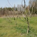 청전농장 이미지