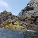 외연도2 이미지