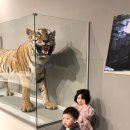 한밭목장 이미지