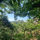 행운민박 이미지