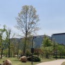 서울공항초등학교 이미지