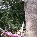 로하스로즈 펜션 이미지