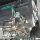 엘란연구소 이미지