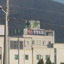 호계연합내과 티스토리