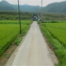 군위군효령면고곡보건진료소 | 부산근교라이딩(경북 군위군 부계면~효령면~칠곡군 가산면)