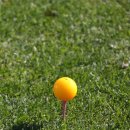 이븐파골프존 이미지