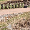 남해-222 이미지