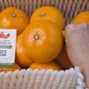 대박 제2농장 이미지