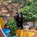 울산농장 이미지