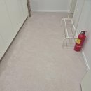 늘푸른청소 이미지