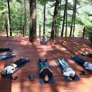 백운산자연휴양림 이미지