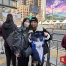 목터져라 이미지