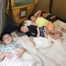 한국체대블랙벨트 이미지