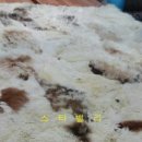 세계명품세탁 이미지