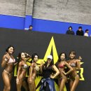 스타피티 스튜디오 이미지