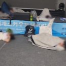 VIP 게임장 네이버블로그