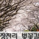 예래동-3 이미지