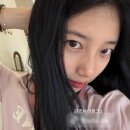 수지 - 보성군 | 수지