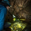 나무호텔 이미지