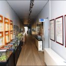 영월곤충박물관 이미지