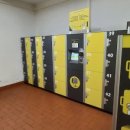 베드로슈퍼 이미지