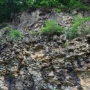 좌상바위 이미지