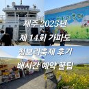 제주 2025년 제 14회 가파도 청보리축제 후기 배시간 예약 꿀팁