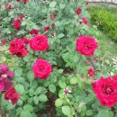 성서고등학교 이미지