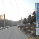 단지봉민박 티스토리