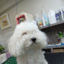 견생스타일 이미지