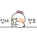 하이댕댕 이미지