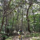 2편-MTB(점프)충남 청양군 ▶칠갑산~천장호 라이딩 사진