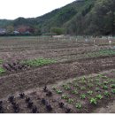 인성농장 이미지