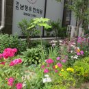 경희남정우한의원 이미지